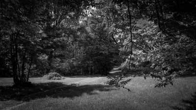 France - Camping Lefébure - A Magical Experience | Alsace, France | Walkshop Light | 4 Days | 4 Lakes Tour - trip to Lac Blanc, Lac Noir & more - 15