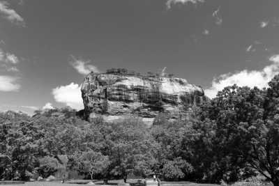 Sri Lanka - Habarana - Your Ultimate Wildlife Experience in Sri Lanka - 2