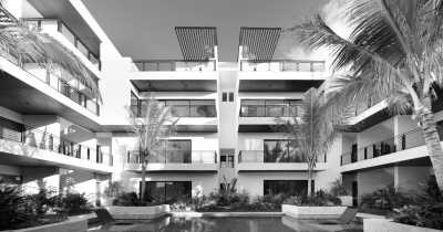 Mexiko - Aldea Zama - The First ONLY Female Tulum Experience: Party and Get to Know: Cenotes, Mayan Ruins and the Best Local Food Spots.