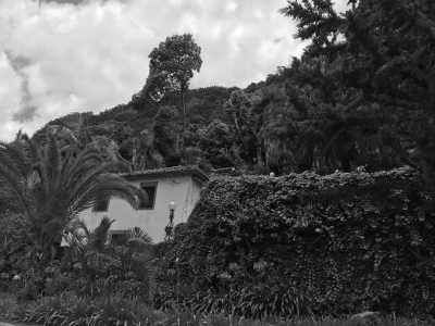 Portugal - Penha de Águia - Coworkation and adventurous hiking trip with a knowledgeable expat in the centre of Funchal, Madeira (single rooms) - 5