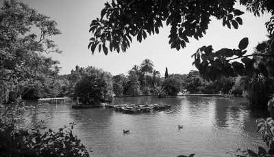 Spain - Barcelona - Explore the best of Barcelona! Wine, Tapas and More! - 7