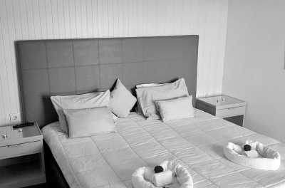 Portugal - Caniço - 2 Weeks Madeira 🌴 CoLiving & CoWorking 💻 with private studio flat - 2