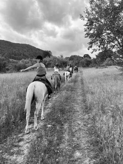 Romania - Veneția de Jos - Romania On Horseback - Horses and Unforgettable Memories - 1