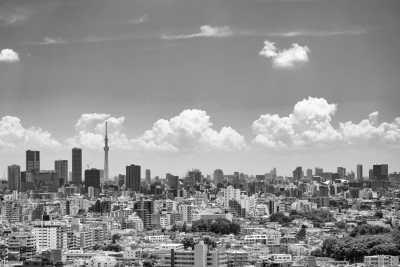 Japan - Tokyo - Tokyo Adventure! Anime & gaming fandom pilgrim!