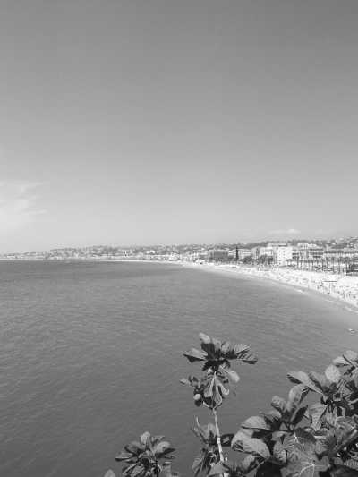 Western Europe - Nice - Explore NICE and MONACO: Art & Nature Trip - AND LOTS OF DELICIOUS FOOD!  Experience FRENCH RIVIERA🛩🥂🍽🎨😎 - 3