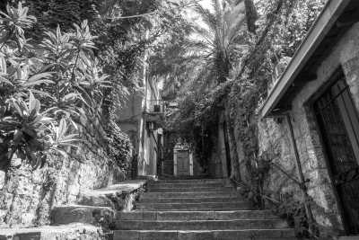 Lebanon - Kherbet Qanafar - Ultimate Snow Experience In Lebanon ❄️🇱🇧 - 2