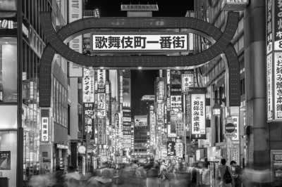 Japan - Shinjuku City - Photographers Unite! Shoot the best spots in Tokyo with a Pro