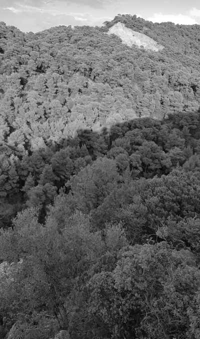 Greece - Psathas Beach - Pure Greece Madness Athen, Mykonos and more! 🇬🇷🏛🥂 - 3