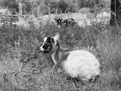 Südeuropa - Padrón - Hiking The Way of St. James From Portugal to Spain - 2