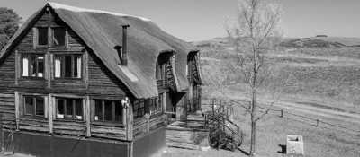 South Africa - Durban - Trip to Khotso, South Africa-Enjoy Horse Trails, Adventure and Wildlife ☀️🏇😊 - 12