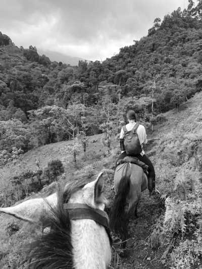 Kolumbien - San Francisco - Experience Glamping, Hiking, Horse Riding, and Cultural Delights: Discover San Francisco-Cundinamarca and Bogotá, Colombia - 11