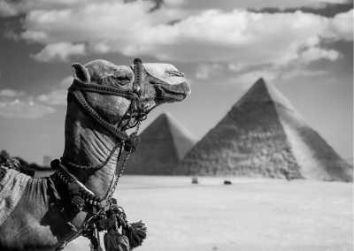 Ägypten - Discover the Ancient Wonders of Fayoum: A 10-Day/9-Night Egyptian Adventure - JoinMyTrip