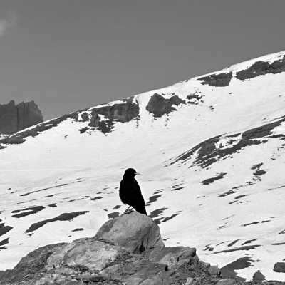 Switzerland - Tschärmilonga - Snowshoeing to an alpine hut - off the beaten tracks - 19