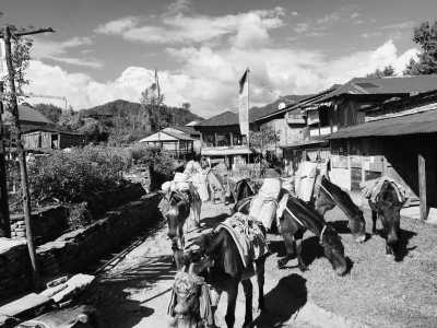 Nepal - Pothana - Panchase Village Hiking from Pokhara, Nepal! Stunning Annapurna range view and great wildlife - 4