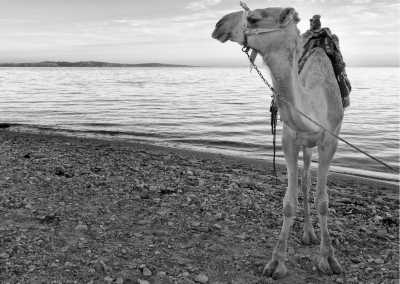 Egypt - Dahab - Discover the Hidden Gems of Dahab, South Sinai, Egypt - 1