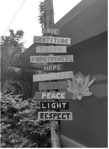 Costa Rica - Puerto Viejo de Talamanca - Work and Live in Costa Rica's Wonderful South Caribbean Side! - 17