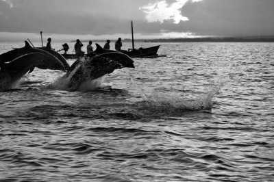 Indonesia - Lovina - New Year Bali 2022/2023 🎉