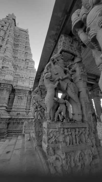 India - Tiruchirappalli - Ancient South India: Experience the Exotic Ancient Temples and Enticing Hills of Tamilnadu - 18