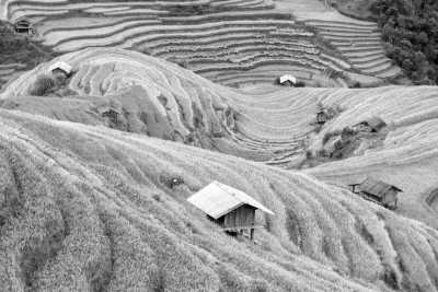 Vietnam - Mai Châu - Active Adventure in North Vietnam (motorbike, hike, and cycle) - 4