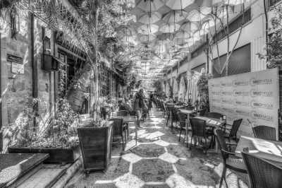 Cyprus - Nicosia - Co-working Adventure in Magical Cyprus! Big Villa, private pool and garden!