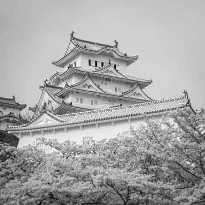 Japan - Himeji - Spring in Japan:  2 wks Adventure for Cherry Blossom Seekers