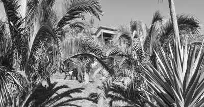 Portugal - Madeira Islands - MADEIRA: Hike + Beach+  Chill + Highlights der Insel - 4