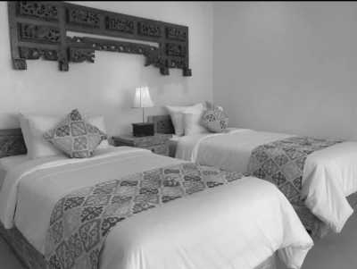 Indonesia - Canggu - Balinese lifestyle (Guided Trip): beach 🌊 surfing 🏄‍♀️ fun 🍹 and more! ☀️ - 6