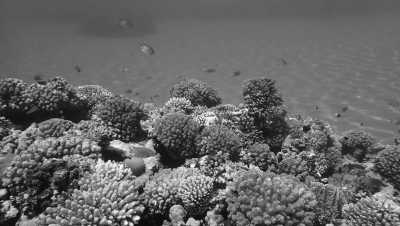 Ägypten - Hurghada - Kitesurfen und Sehenswürdigkeiten Ägyptens entdecken 🇪🇬 - 1