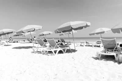 Vereinigte Staaten - Miami - Unlock the Magic: Florida Together🪄 - 2