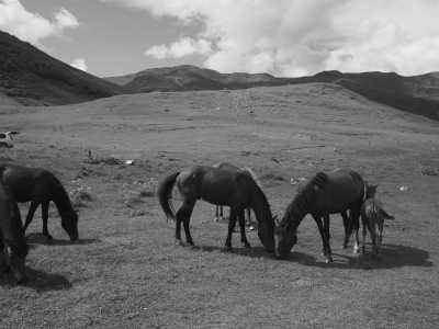 Georgien - Aghvi Camping • კემპინგი აღვი - Roadtrip durch Georgien / Imeretien - 1