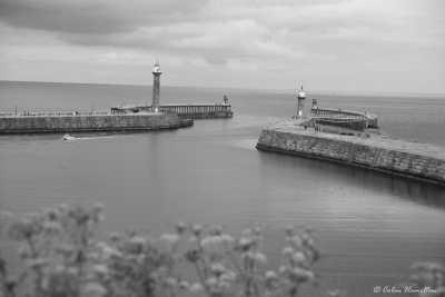 United Kingdom - Whitby - Dracula in Whitby, with Bram Stoker's great-grandnephew Dacre Stoker - 10