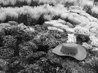 Colombia - Bogotá - Discover underground Bogota and surroundings with locals