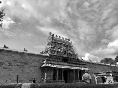 India - Thanjavur - Ancient South India: Experience the Exotic Ancient Temples and Enticing Hills of Tamilnadu - 22