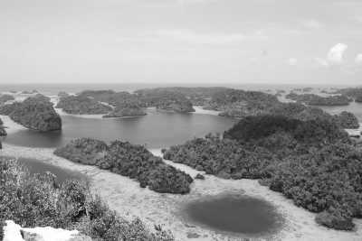 Indonesia - Cottage Harfat Jaya - Natural Beauty of Raja Ampat, Indonesia Islands