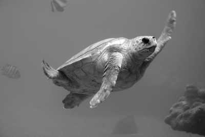 Thailand - Phi Phi Islands - Content Creator's Paradise: Women’s Co-Working in Exquisite Southern Thailand - 2