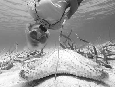 Bahamas - Nunjack Cay - Set sail through the blissful Abaco Island chain