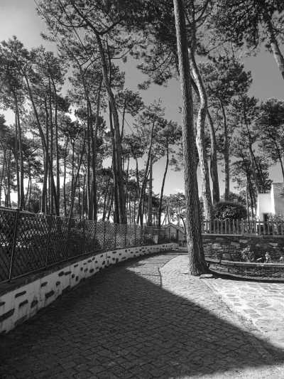 Southern Europe - Antas Guest House (Villa) - A Slow and Soulful Walk on the Portuguese Coastal Camino - 4