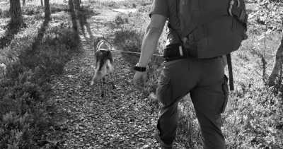 Schweden - Idrefjäll - Idre- An adventure with Pure nature and Huskies dogs.