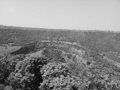 Indien - Ajanta - Explore Historical India - Caves and Forts of Maharashtra with a Local