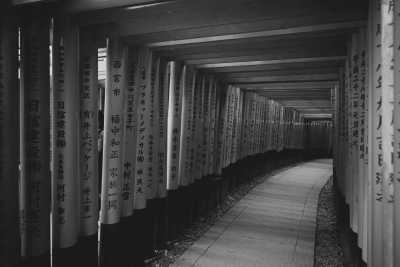 Japan - Fushimi Inari Taisha - Blossoms & Cities: Japan’s Spring Adventure 2025