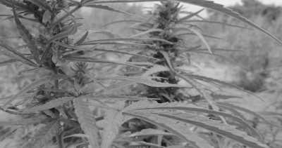 Gambia - The Gambia - Abenteuerurlaub Afrika Gambia - 2