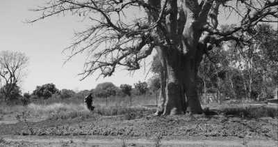 Gambia - The Gambia - Abenteuerurlaub Afrika Gambia - 1