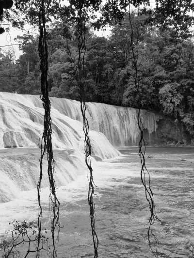 Mexiko - Palenque - Day of the Dead Roadtrip in Mexico - 4