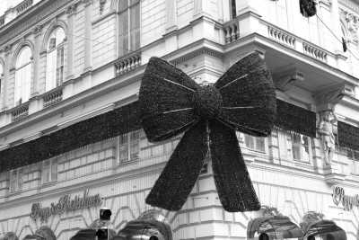 Österreich - Vienna - Vienna Winter Trip 🇦🇹 Christmas Market, Traditional Food and Falco Musical (Ticket included)