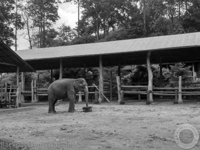 Thailand - Chiang Mai - 🇹🇭 Thailand entdecken XXL - Alle Thailand Highlights in einer Reise - Von den Inseln in die Berge 🏄🏼🌴🏯🍺 - 1