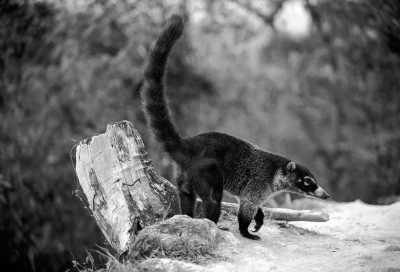 Guatemala - San Marcos La Laguna - Adventure in Guatemala: 6 days Diving into Nature and Culture - 2