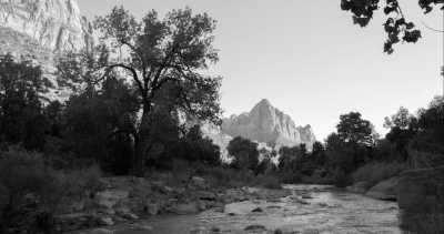 United States - Zion National Park - California Adventure🇺🇲: A Road Trip Through America's National Parks - 2