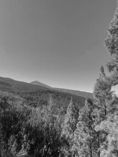 Spanien - La Orotava - Island Yoga Retreat 🧘🏽‍♀️  Moon Rituals, Water Cleansing, Journaling, Nature Walks and New Years Manifestations. ✨ Women only 🫶🏽 - 2