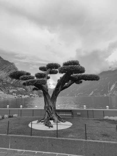 Italien - Arco - Discovering Via Ferrata Adventures in Lake Garda, Italy: A Thrilling Climbing Experience - 4