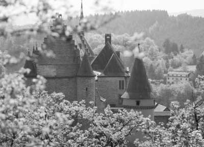 Western Europe - Luxembourg - Young, Fun, and Backpacking through Amsterdam, Belgium and Luxembourg! - 5